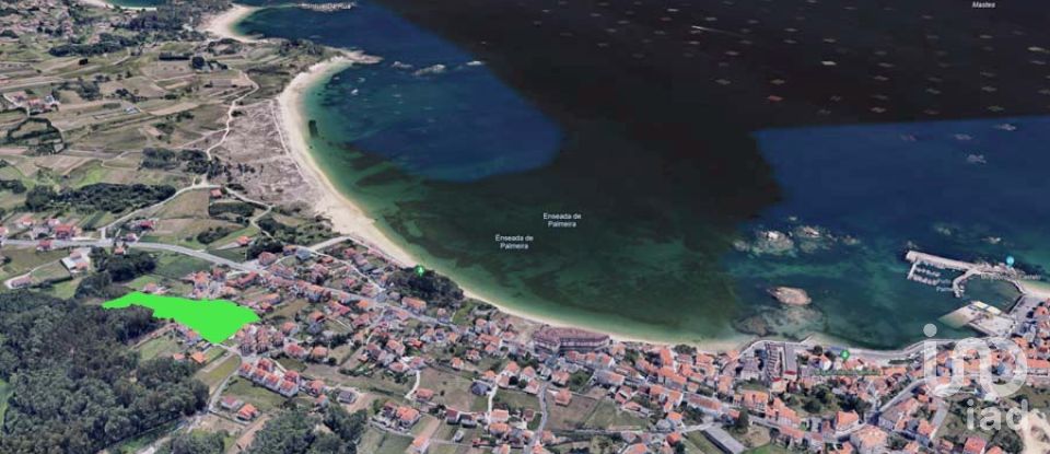 Maison 4 chambres de 221 m² à Palmeira (15959)