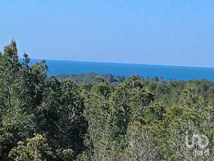 Terreno de 100.000 m² en Torredembarra (43830)