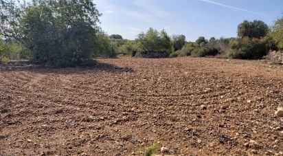 Land of 100,000 m² in Torredembarra (43830)