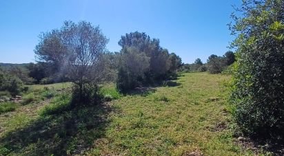 Land of 100,000 m² in Torredembarra (43830)