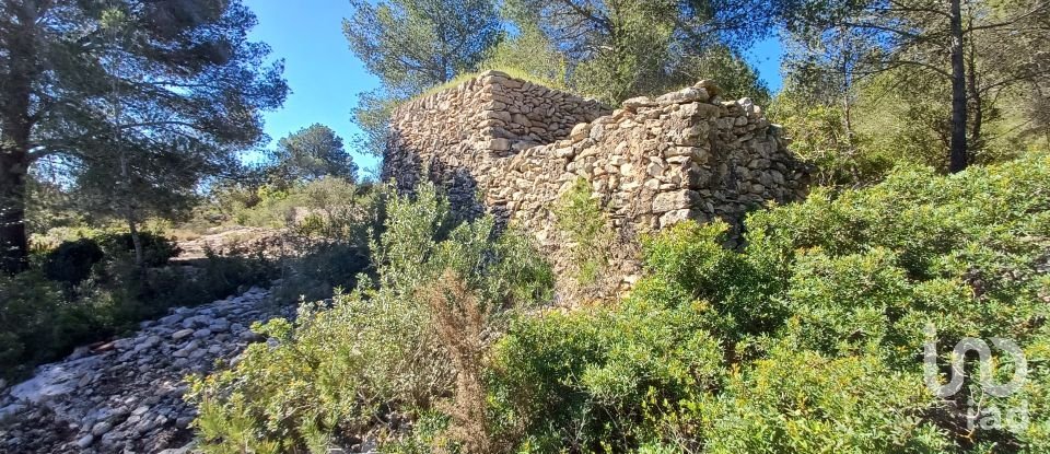 Terreno de 100.000 m² en Torredembarra (43830)