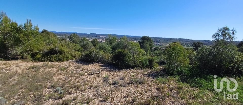 Terreno de 100.000 m² en Torredembarra (43830)