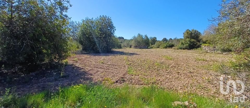 Terreno de 100.000 m² en Torredembarra (43830)
