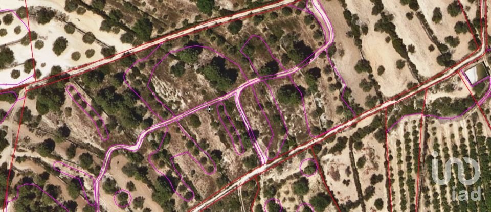 Terreno de 100.000 m² en Torredembarra (43830)
