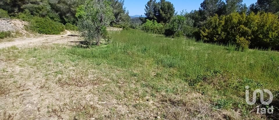 Terreno de 100.000 m² en Torredembarra (43830)