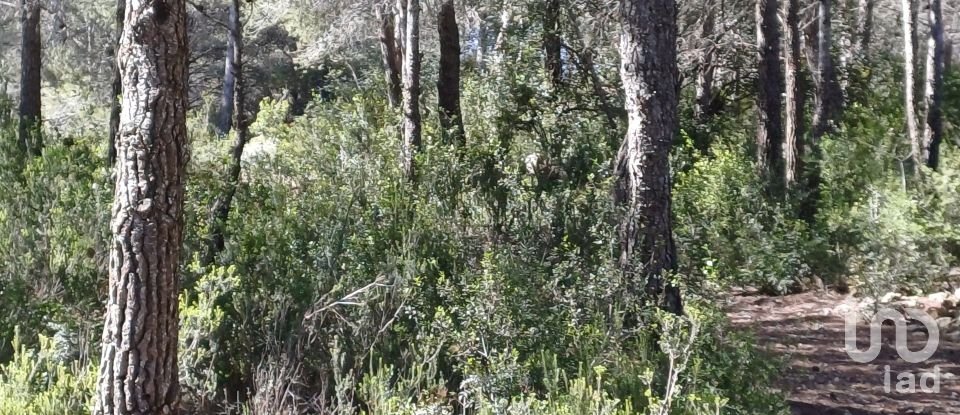 Terreno de 100.000 m² en Torredembarra (43830)