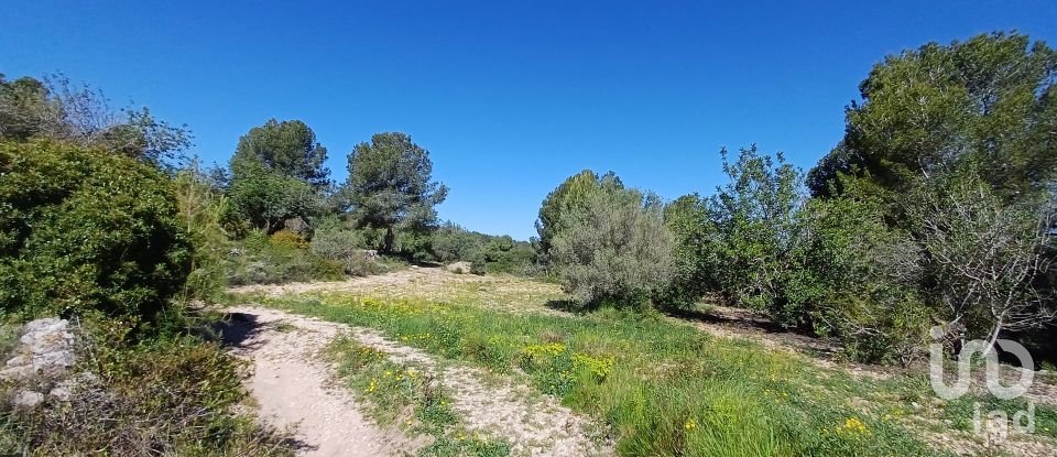Terreno de 100.000 m² en Torredembarra (43830)