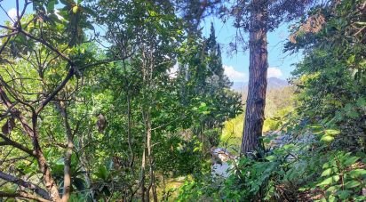 Building plot of 2,352 m² in Argentona (08310)