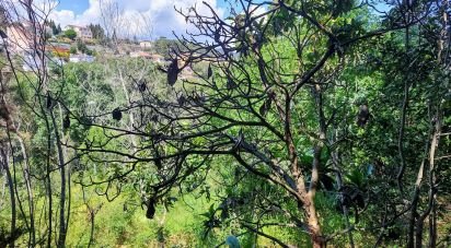 Building plot of 2,352 m² in Argentona (08310)