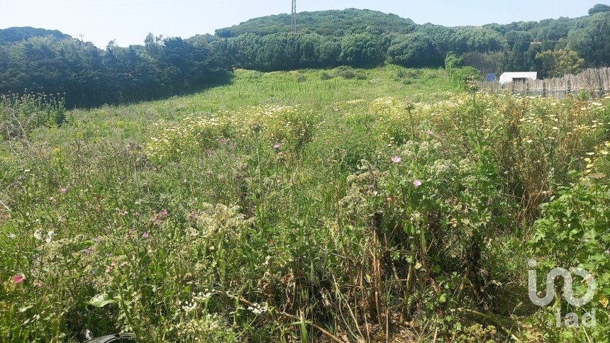 Terrain de 3 318 m² à Tarifa (11380)