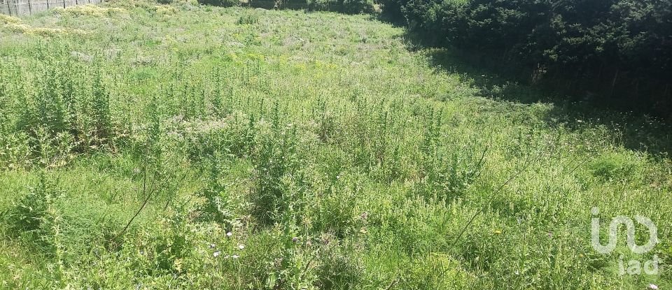 Terrain de 3 318 m² à Tarifa (11380)