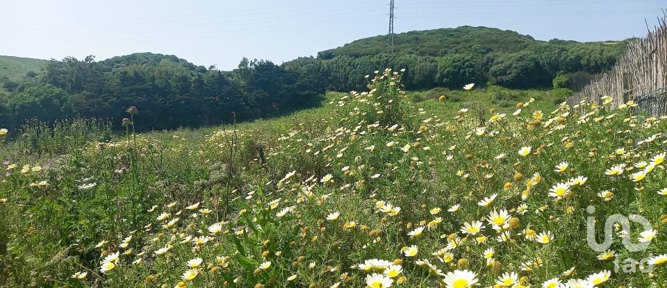 Terrain de 3 318 m² à Tarifa (11380)