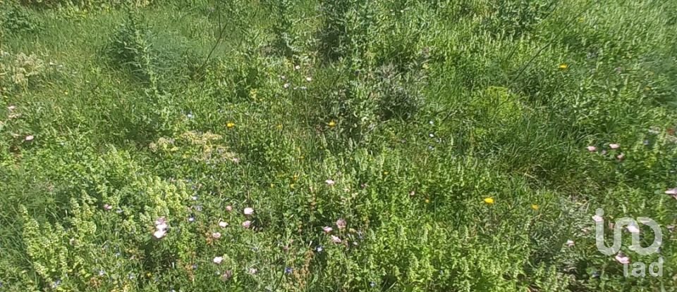 Terrain de 3 318 m² à Tarifa (11380)