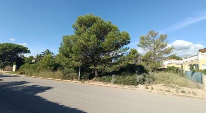 Land of 945 m² in L'Ametlla de Mar (43860)