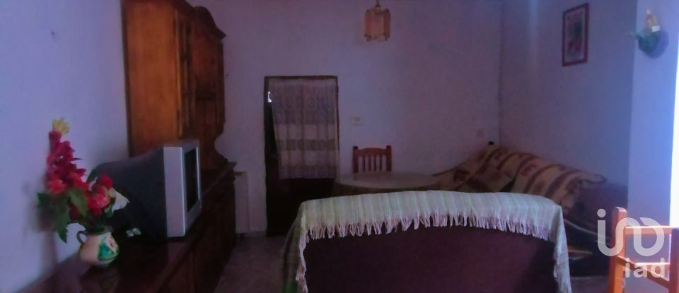 Maison de village 5 chambres de 100 m² à Belvís de la Jara (45660)