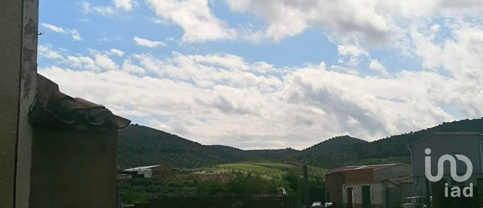 Maison de village 5 chambres de 100 m² à Belvís de la Jara (45660)