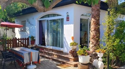 House 3 bedrooms of 162 m² in Mont-Roig del Camp (43300)