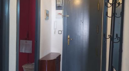 Apartment 3 bedrooms of 74 m² in Alicante/Alacant (03006)