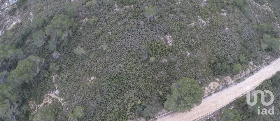 Land of 963 m² in Querol (43816)