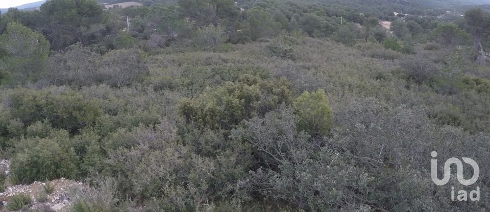 Terrain de 937 m² à Querol (43816)