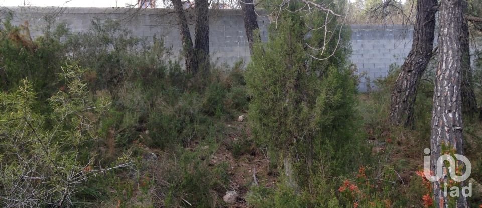 Terreno de 745 m² en La Juncosa del Montmell (43718)