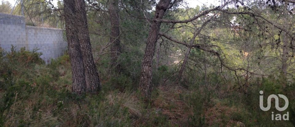 Terreno de 745 m² en La Juncosa del Montmell (43718)