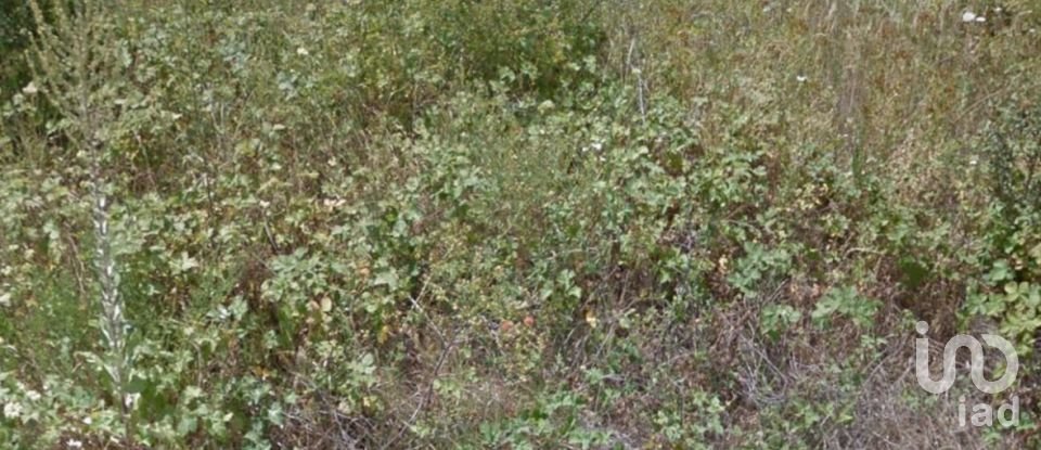 Terreno de 1.302 m² en Prades (43364)