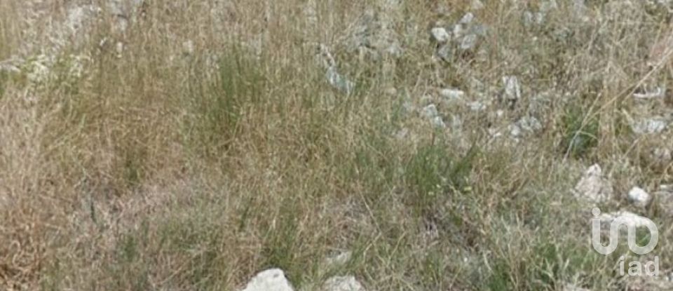 Terreno de 1.302 m² en Prades (43364)