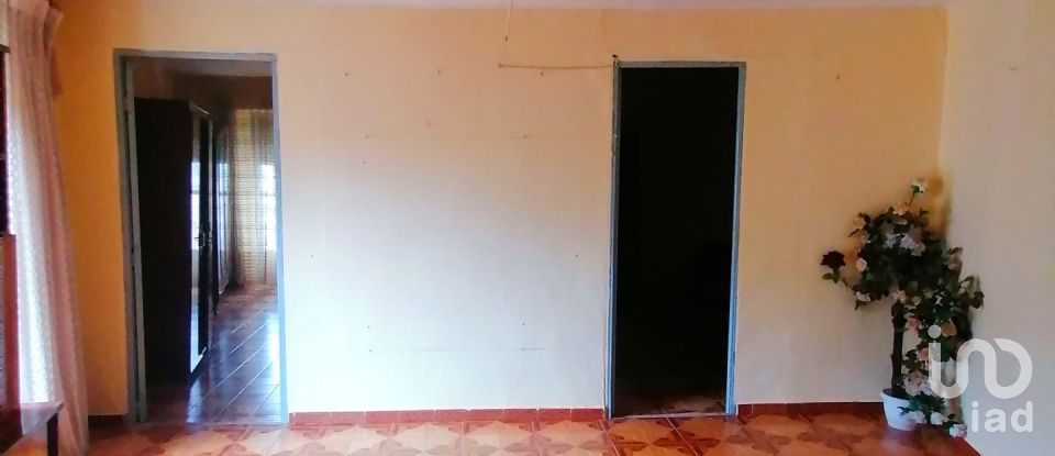 Maison de village 5 chambres de 107 m² à Belvís de la Jara (45660)