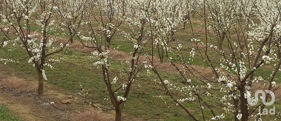 Townhouse 3 bedrooms of 170 m² in Benissanet (43747)