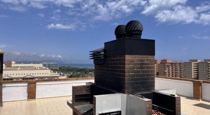 Apartment 2 bedrooms of 51 m² in Oropesa/Oropesa del Mar (12594)