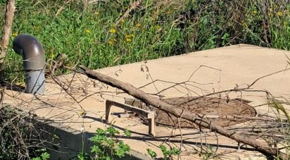 Land of 3,843 m² in Alcanara (30813)