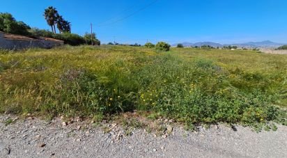 Land of 3,843 m² in Alcanara (30813)