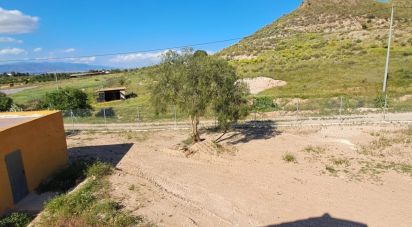 Country home 3 bedrooms of 120 m² in Alcanara (30813)