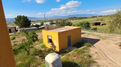 Country home 3 bedrooms of 120 m² in Alcanara (30813)