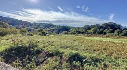 Land of 20,000 m² in O Campo (36914)