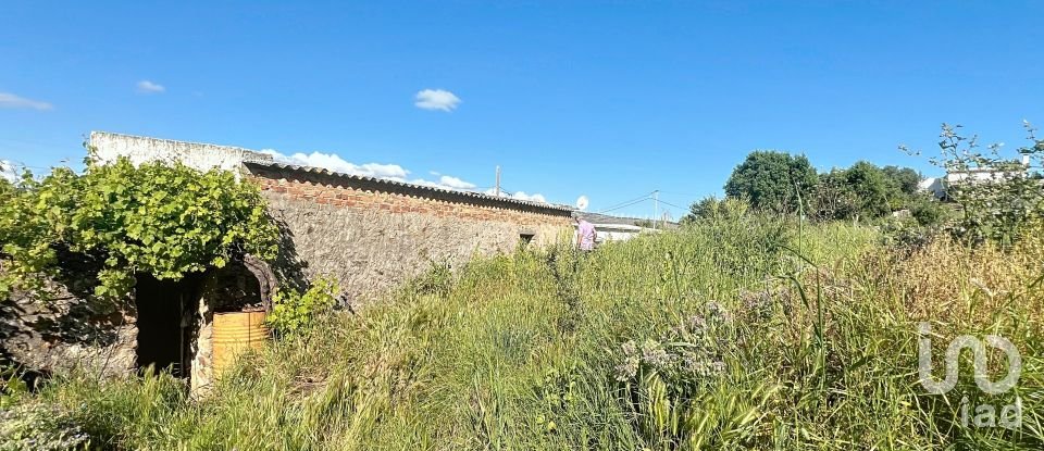 Country home 5 bedrooms of 200 m² in Bolonia (11391)