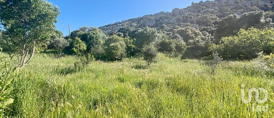 Country home 5 bedrooms of 200 m² in Bolonia (11391)