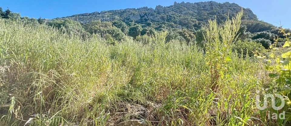 Country home 5 bedrooms of 200 m² in Bolonia (11391)