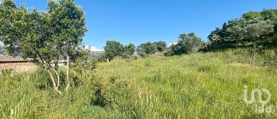 Country home 5 bedrooms of 200 m² in Bolonia (11391)