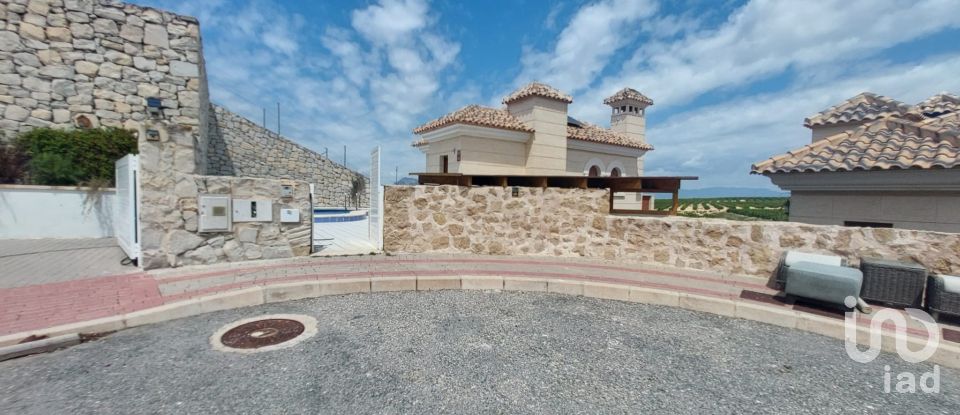 Maison 3 chambres de 125 m² à Algorfa (03169)