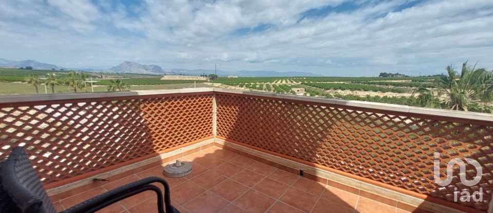 Maison 3 chambres de 125 m² à Algorfa (03169)