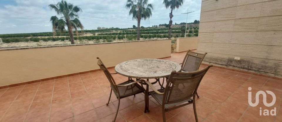 Maison 3 chambres de 125 m² à Algorfa (03169)