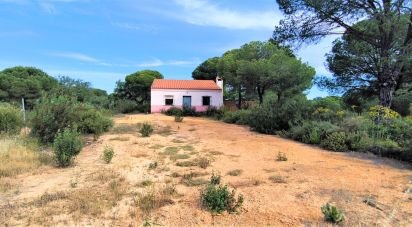 Land of 14,359 m² in Villablanca (21590)