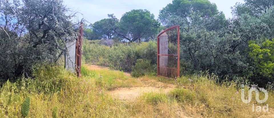 Land of 14,359 m² in Villablanca (21590)