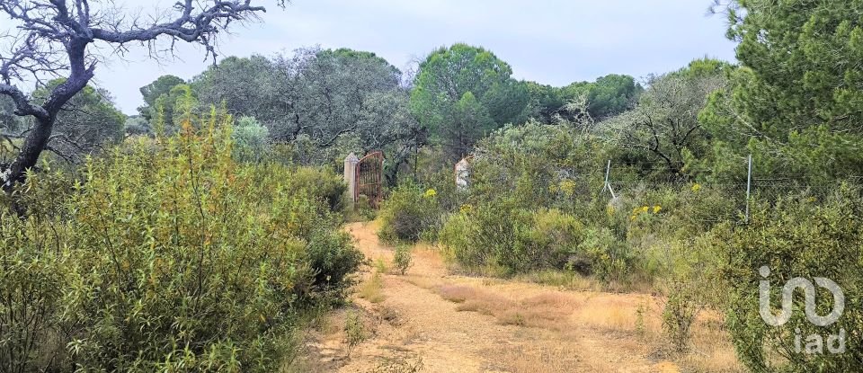 Land of 14,359 m² in Villablanca (21590)