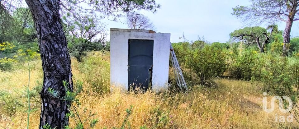 Land of 14,359 m² in Villablanca (21590)