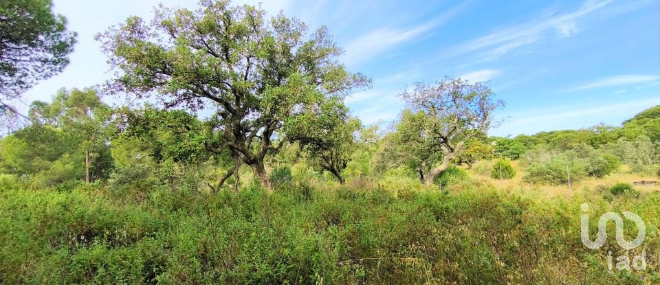 Land of 14,359 m² in Villablanca (21590)