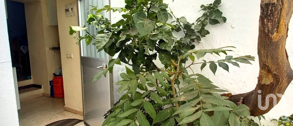 Varias superficies 3 habitaciones de 126 m² en Tarifa (11380)