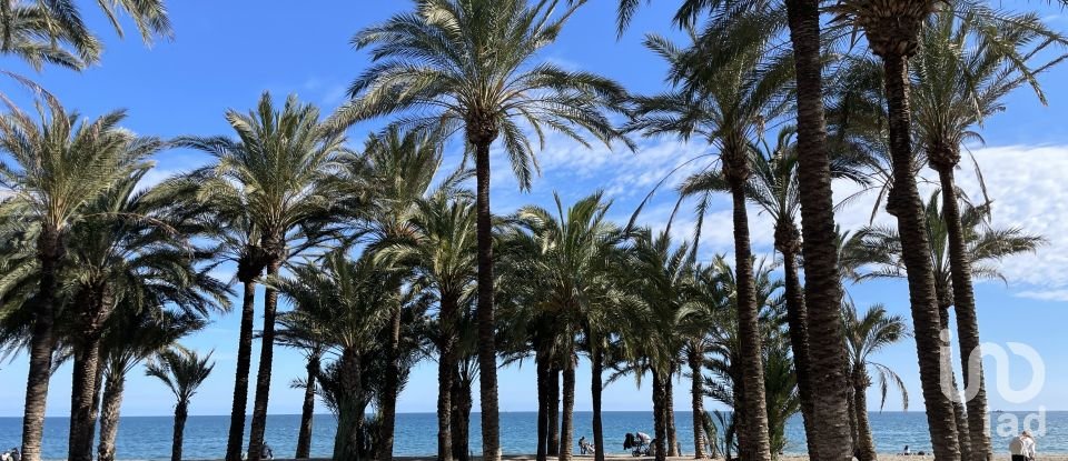 Piso 0 habitaciones de 36 m² en Torremolinos (29620)